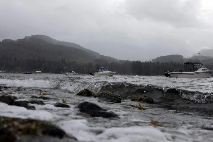 B.C. coast, parts of Vancouver Island set to see heavy rains, strong winds
