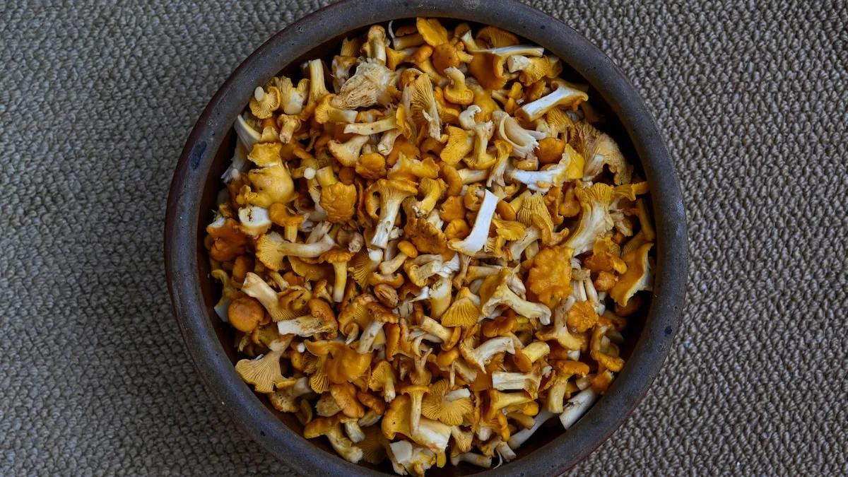 Pilze sind nicht mehr gut: Anzeichen und richtige Lagerung