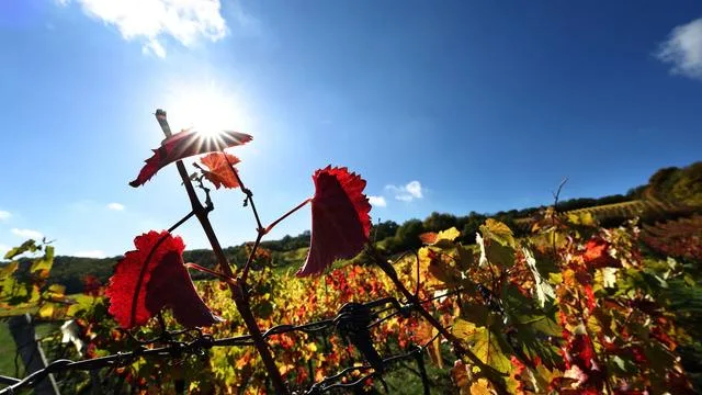 Wetter: Erst frostig, dann Sonne und bis 20 Grad - nur nicht überall