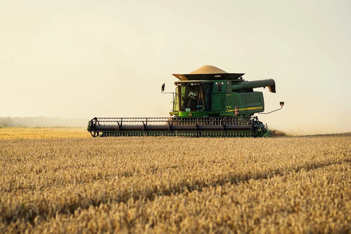 Global food inflation expected to intensify as supply shocks mount