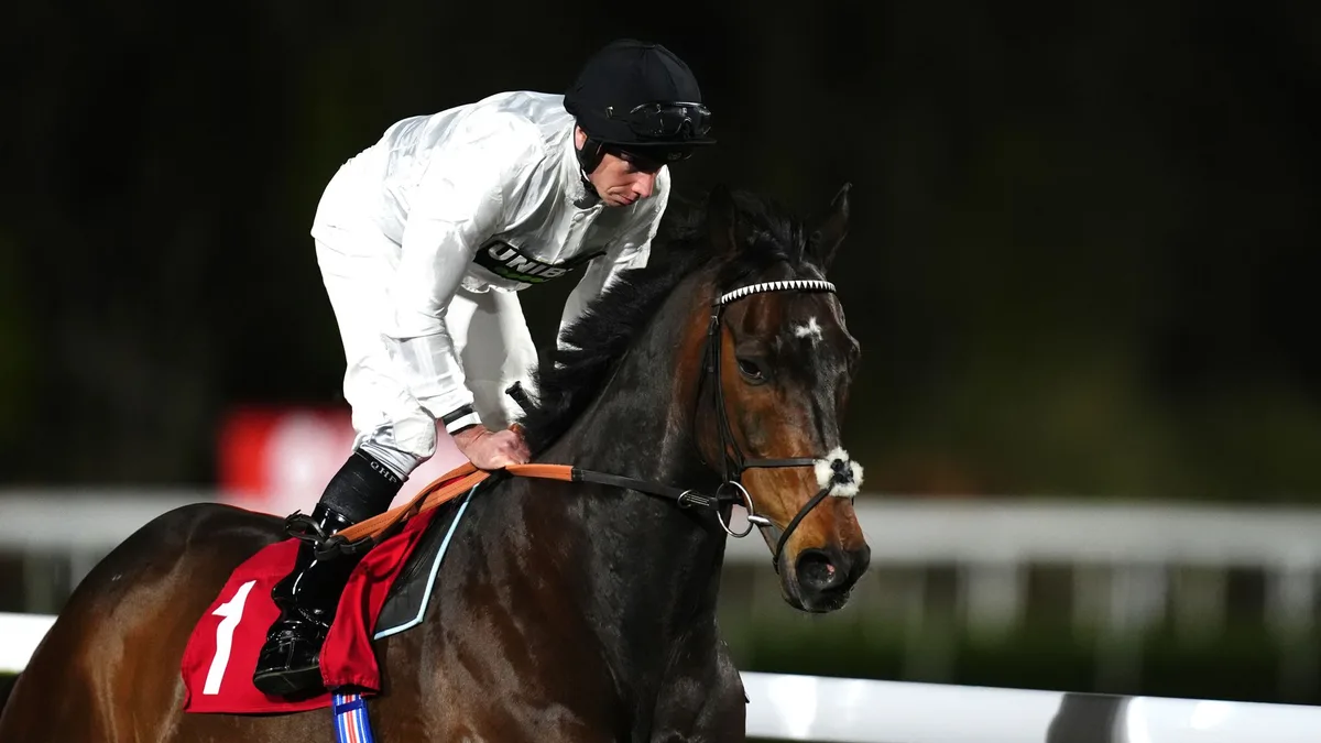 Constitution Hill set for serious test at Kempton on Saturday