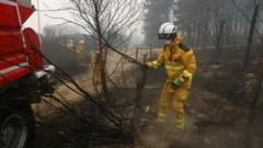 Firefighters battle wildfire tearing through Belgian nature reserve