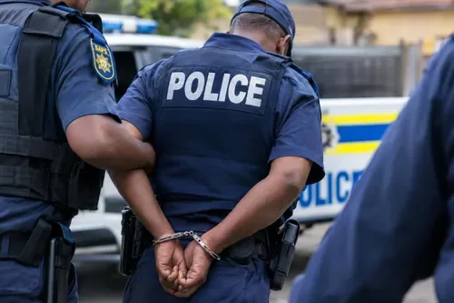 284 convicted SAPS employees remain in service, parliamentary committee says