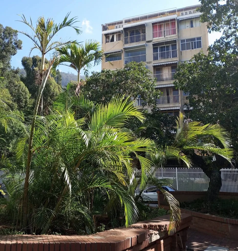 La urbanización Las Palmas en Caracas honra su nombre con árboles gracias a la voluntad de sus habitantes