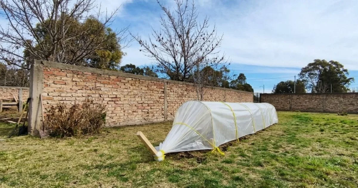 Un microinvernadero para aprender y producir: la nueva propuesta de La Casita de Viedma
