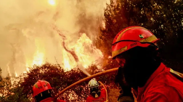 Mais de 80 bombeiros combatem fogo em Arganil às 22h20