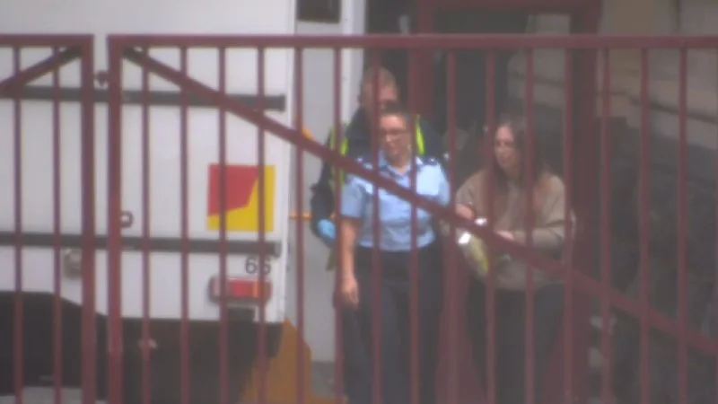 Erin Patterson appeal to start today
