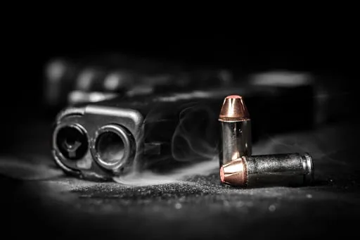 Robertson man shot dead after day-long standoff with police