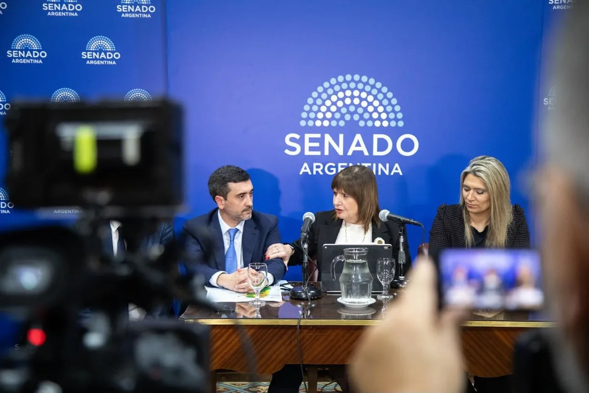 El oficialismo busca retomar en el Senado el debate sobre la eliminación de las PASO pero no hay consenso con los aliados