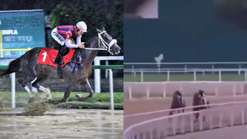 VIDEO IMPACTANTE: El dramático accidente que le costó la vida a reconocido jinete durante una carrera en Río de Janeiro