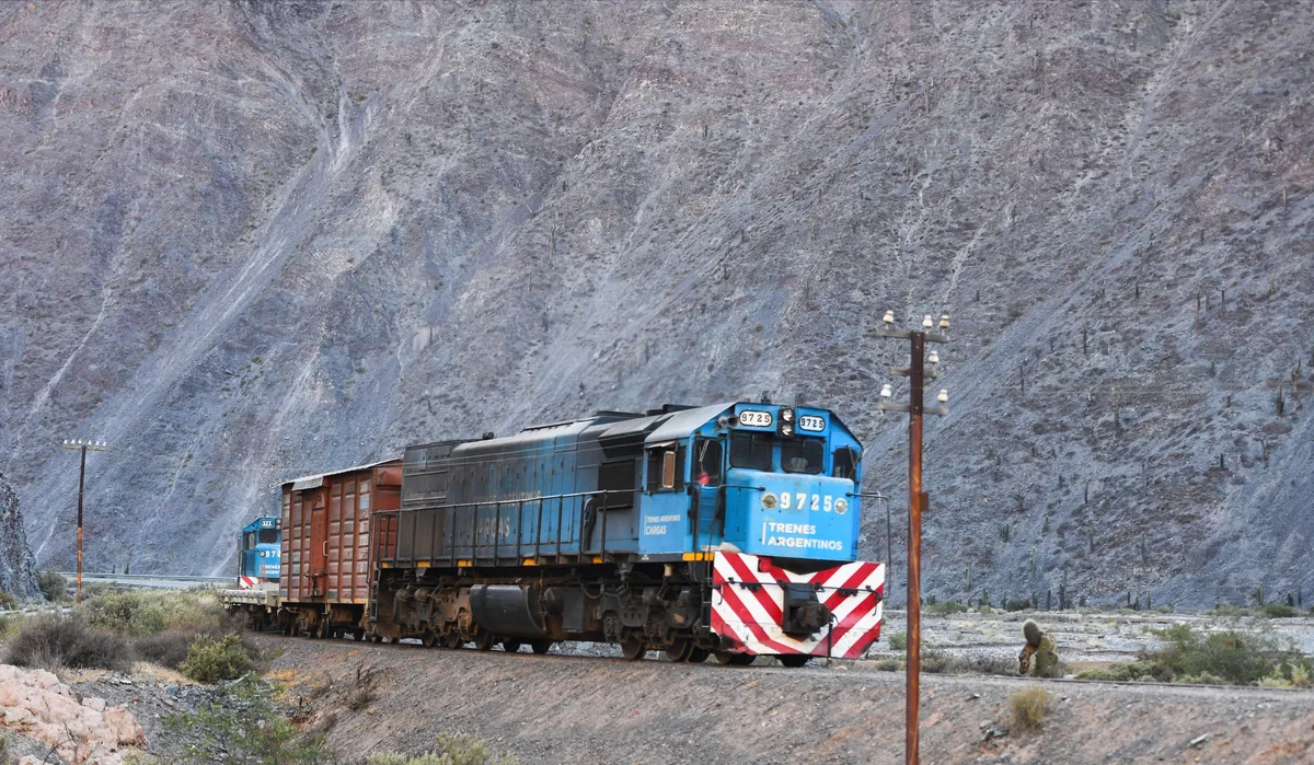 Privatización de Belgrano Cargas: el Gobierno fijó obras por al menos US$800 millones y abre la operación a distintas empresas