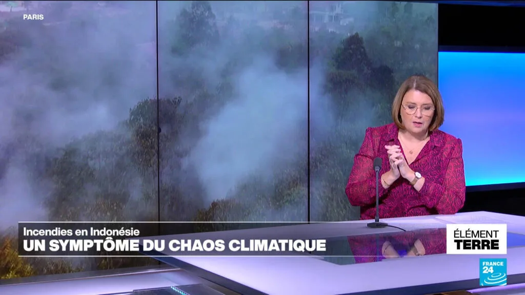 Climat: L'Indonésie en proie aux flammes depuis 2 mois