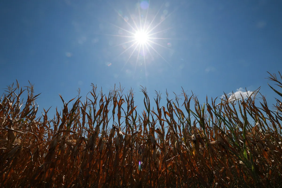 El Salvador vive agosto con temperaturas récord en la mitad de sus estaciones climáticas, según Medio Ambiente