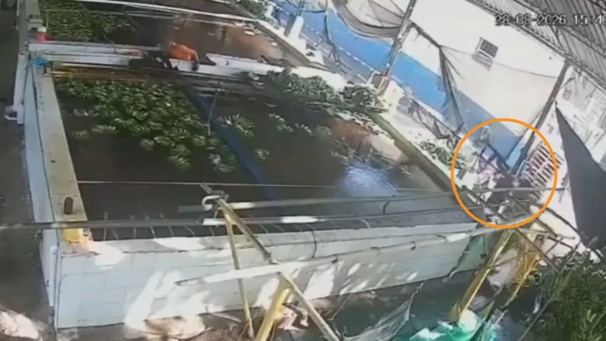 Videos | Encapuchados armados irrumpen en fincas y comercios en Zona Bananera para robar y extorsionar; ordenaron despliegue militar