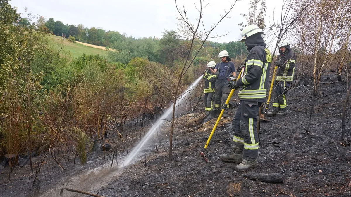 Wenn ein Wald in Flammen steht: Drei Waldbrände und ihre Lehren für den nächsten Ernstfall