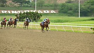 Conozca el motivo por el cual multaron a reconocido entrenador tras la reunión 36 en La Rinconada