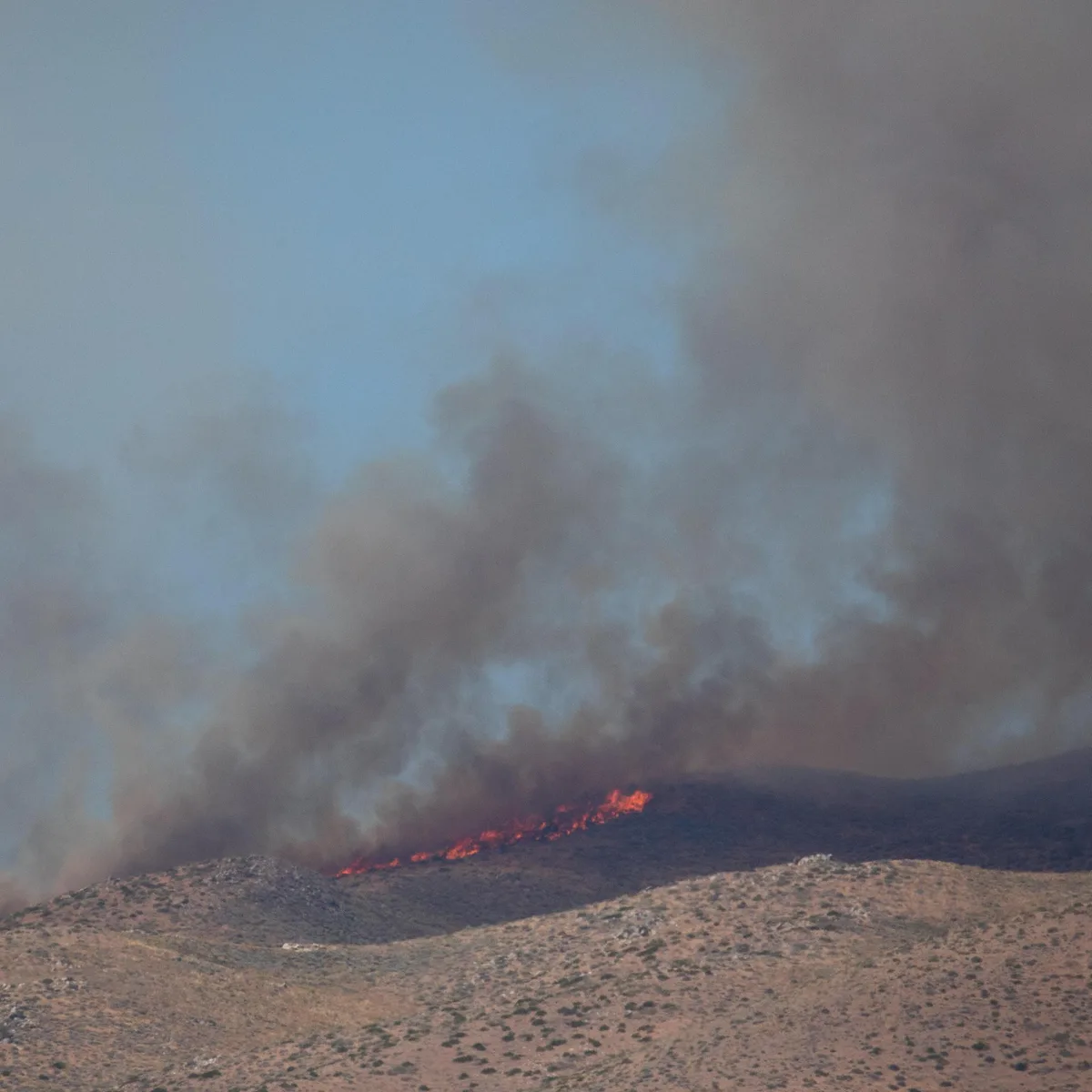 US-Bundesstaat Nevada - Zehntausende fliehen vor Feuer am Rand der Großstadt Reno