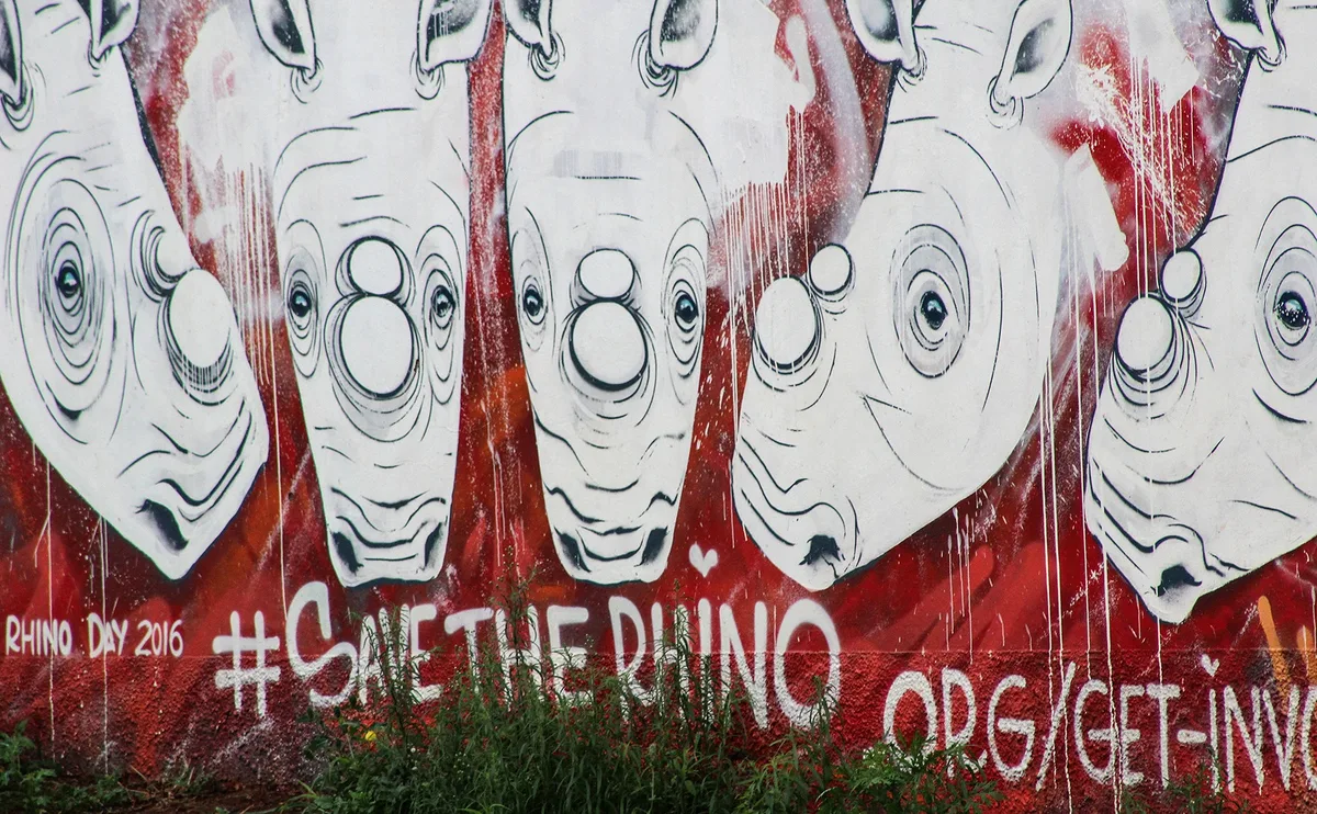 DOLLAR BOON: R10m windfall for African conservation after Australian ‘rhino rescue’ plan folds up