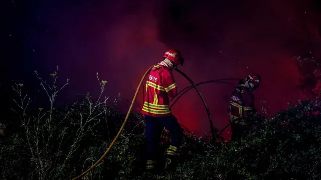 Fogo queimou 2.000 hectares de terreno em Torre de Moncorvo