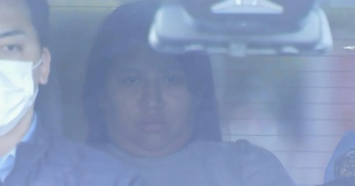 Detuvieron en un aeropuerto de Japón a una argentina que quiso ingresar un kilo de cocaína: cómo fue la ruta de la droga
