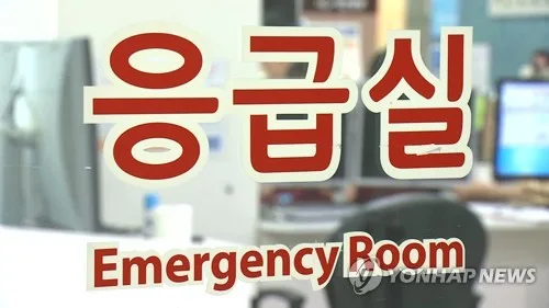 응급실 외출 제지한 의료진에 욕설·소란 40대 징역형