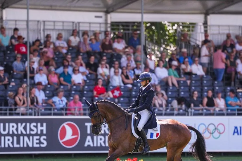 Mondiaux d'équitation : pas de médailles pour les Français au concours complet