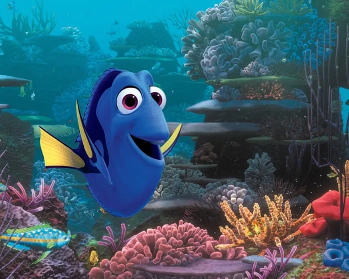 Can you solve it? The fin-tastic fish puzzle