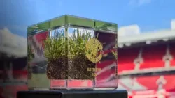 Man United: prejuízo pelo sétimo ano consecutivo e pedaços de relva à venda