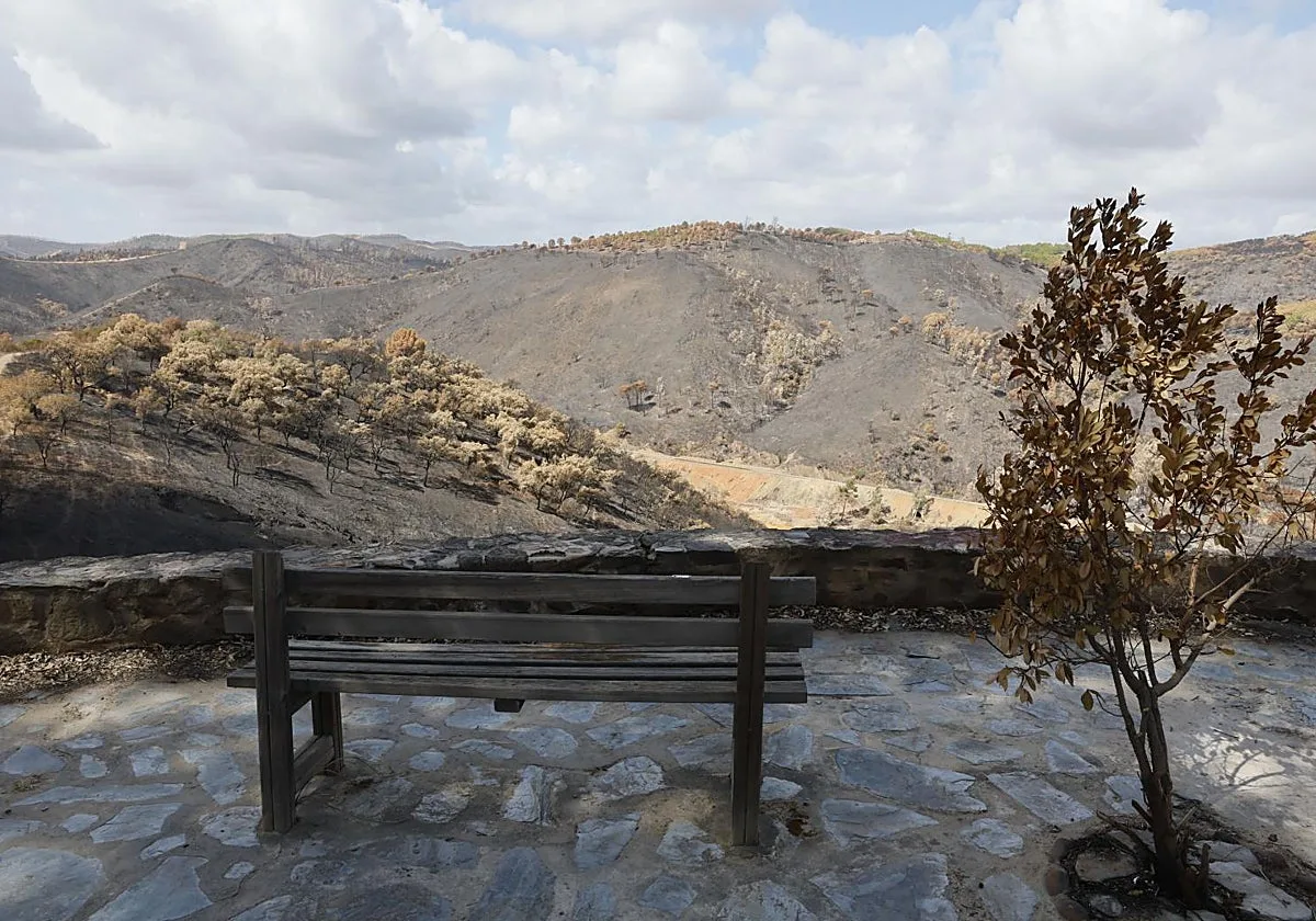 La Junta aborda el incendio de Niebla junto a los alcaldes con la «prioridad inmediata» de proteger el terreno