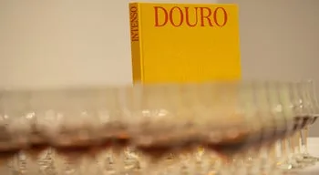 Região do Douro ainda precisa dos fundos de coesão mas está pronta para se candidatar a novos fundos, mais competitivos