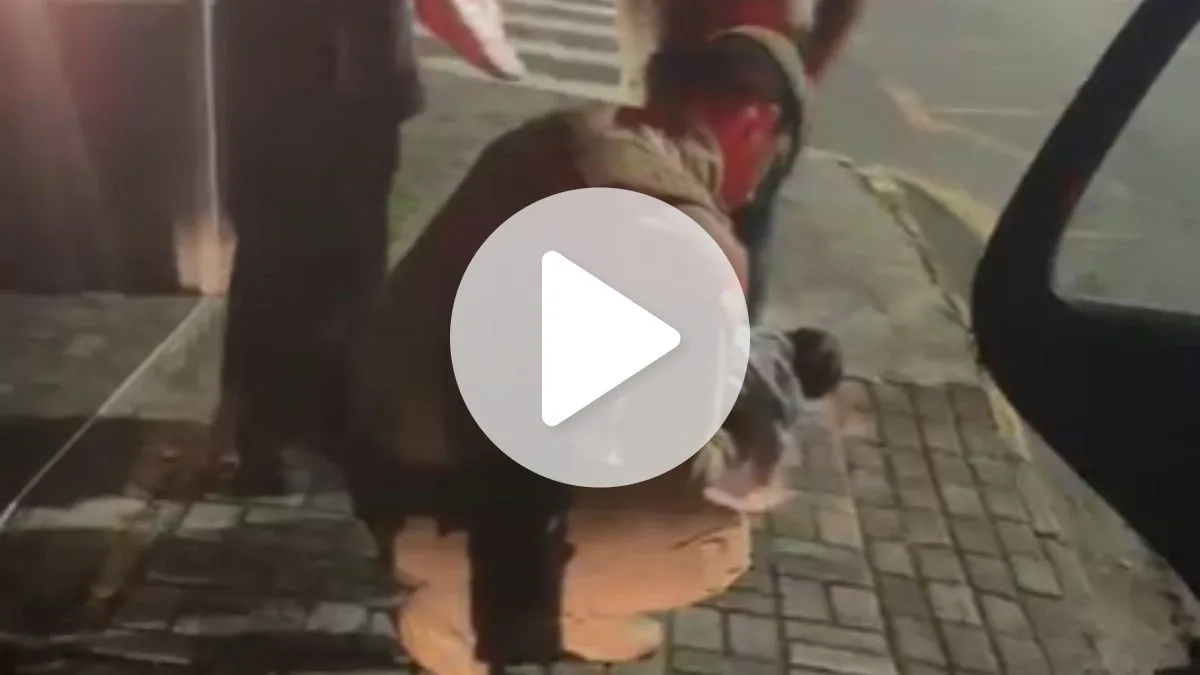 Bebê de 10 dias engasga com leite materno, pai invade abordagem da PM e policiais salvam criança em SC; veja vídeo