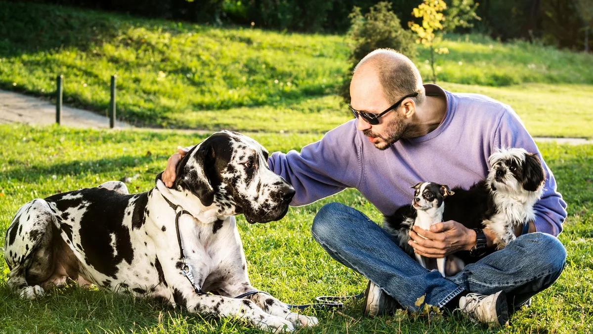 Big dogs age faster at an epigenetic level, new study finds