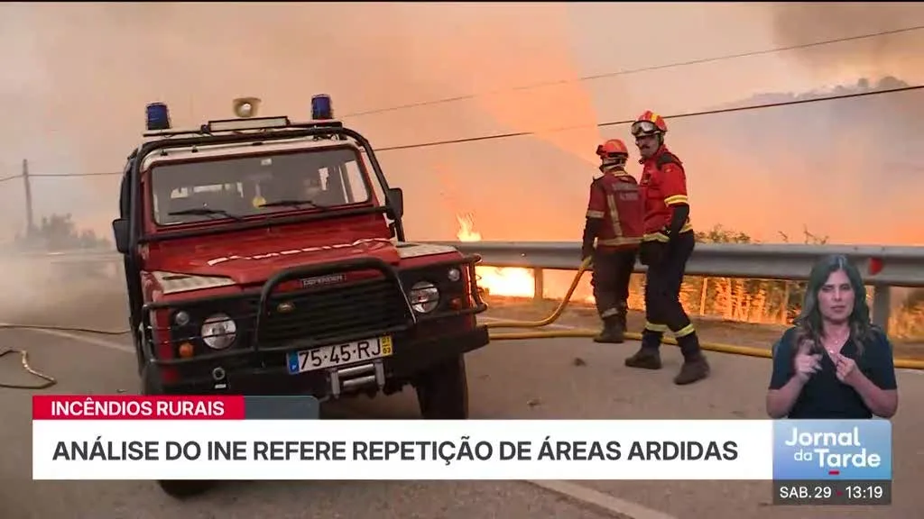 Covilhã é o concelho com mais área ardida entre 2020 e 2025