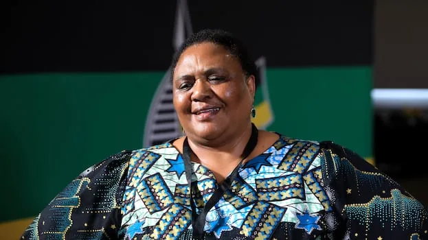 SONGEZO ZIBI | Why removing Thoko Didiza would create a dangerous constitutional precedent