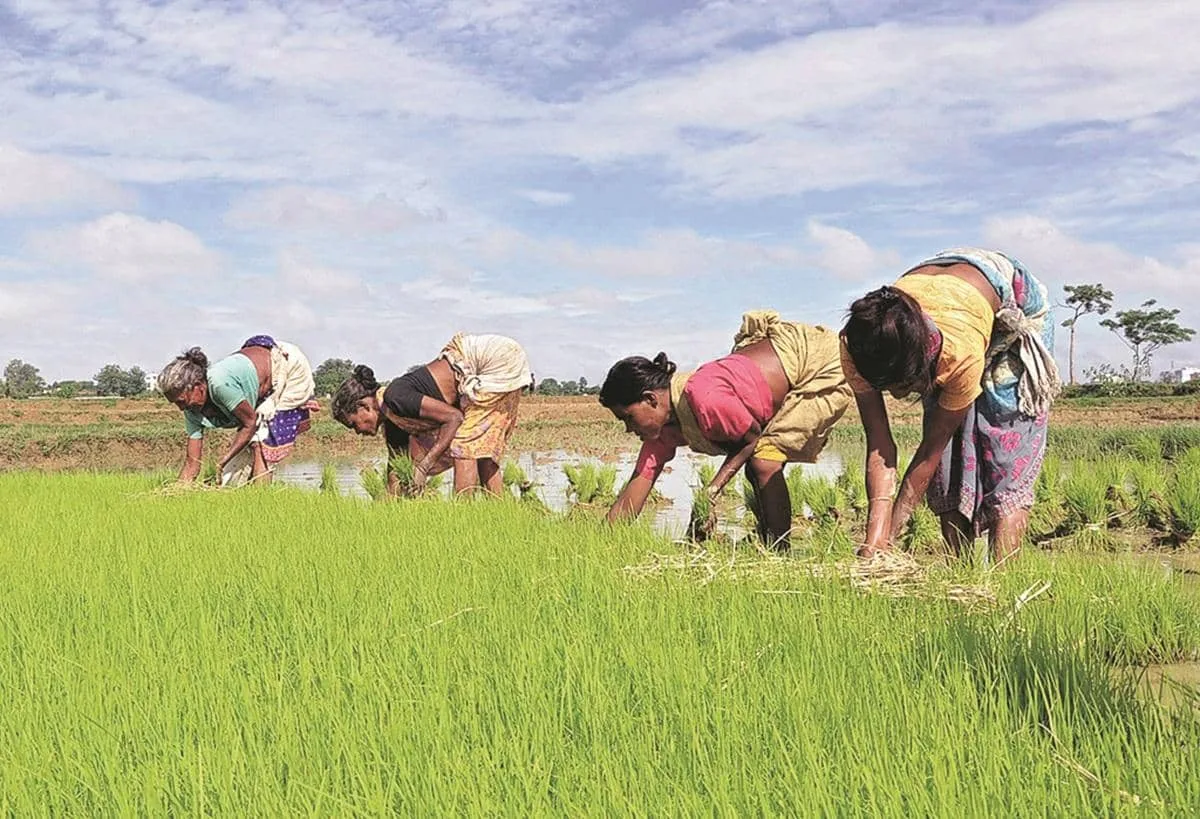 Deficient monsoon rains may hit Rajasthan's kharif crop output in 2026