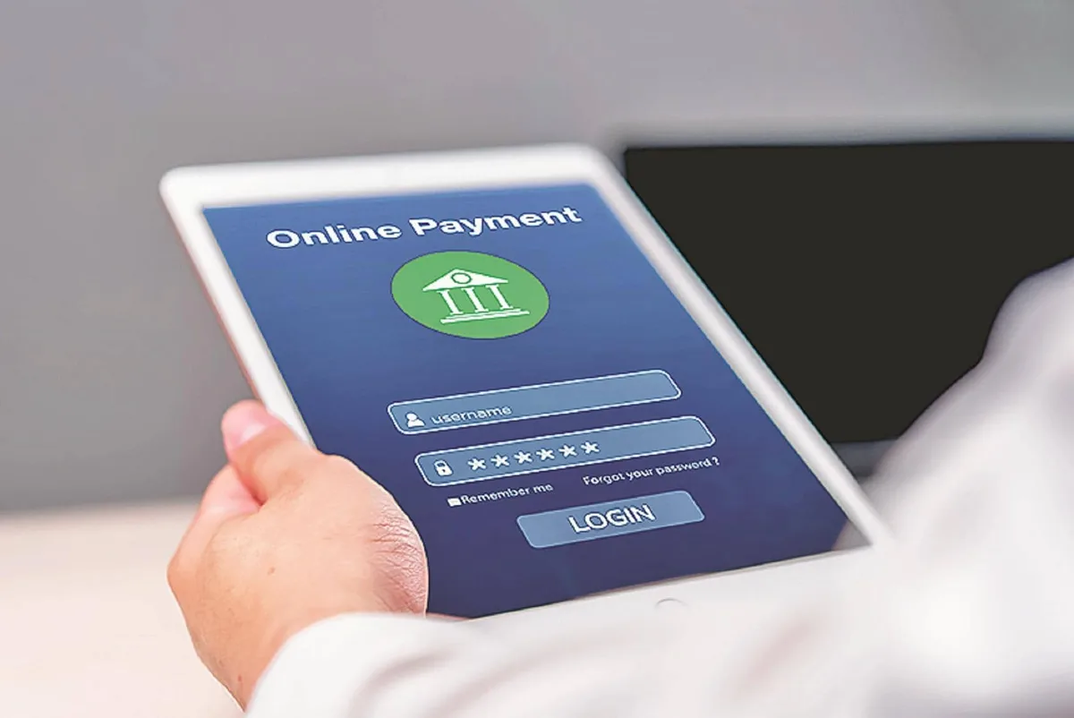 Global digital payments to double by 2030 as new instruments gain ground