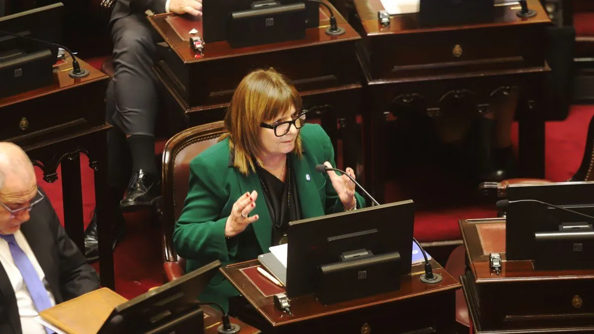 Patricia Bullrich adelantó que el Senado reactivará el debate por la reforma política