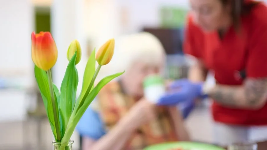 Gesundheit: Wer soll die Pflege bezahlen? Wirtschaftsrat setzt auf Vermögen und mehr Eigenverantwortung