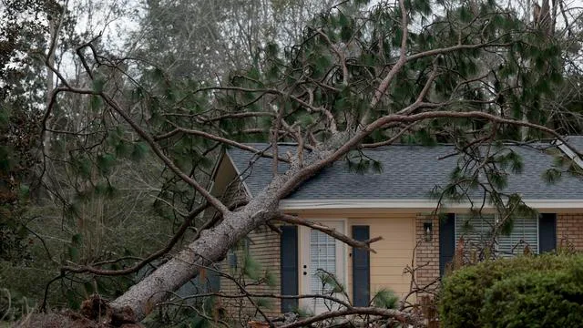 Sturm Isaias: Florida und Alabama melden vier Tote und Hunderttausende ohne Strom