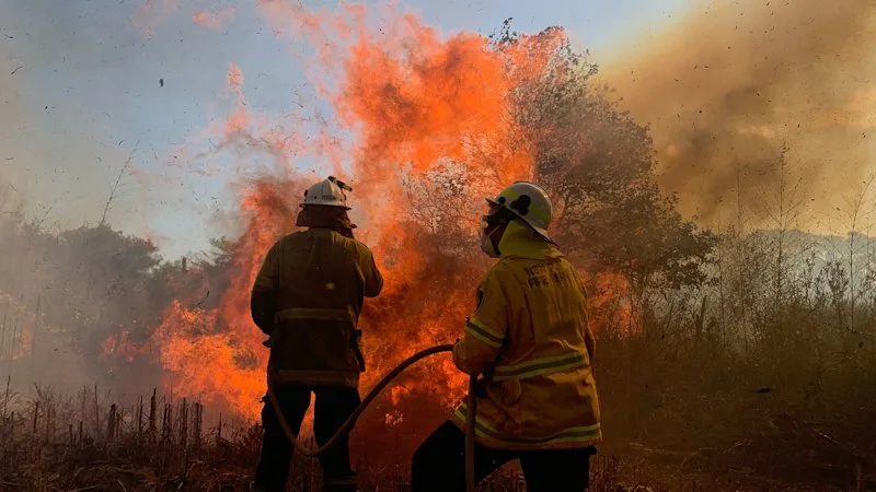 Cities impacted by longer, more severe bushfires: study