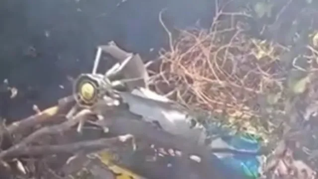 Quem são as vítimas mortais da queda de helicóptero em safari no Quénia?