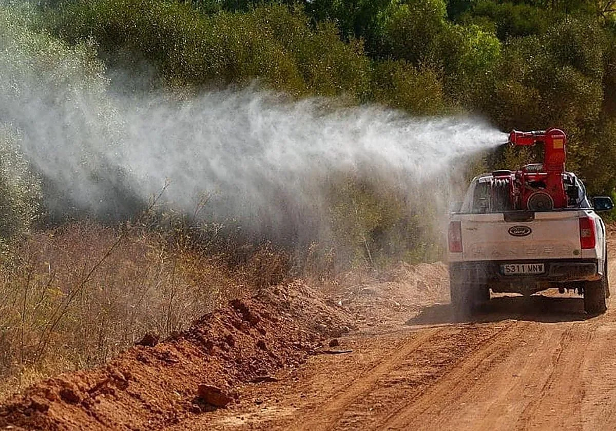 Gerena y Benacazón refuerzan sus fumigaciones ante la detección de mosquitos portadores del virus del Nilo