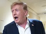 Tech stocks fall on AI slowdown alert: Industry bosses at loggerheads with Trump over safety fears