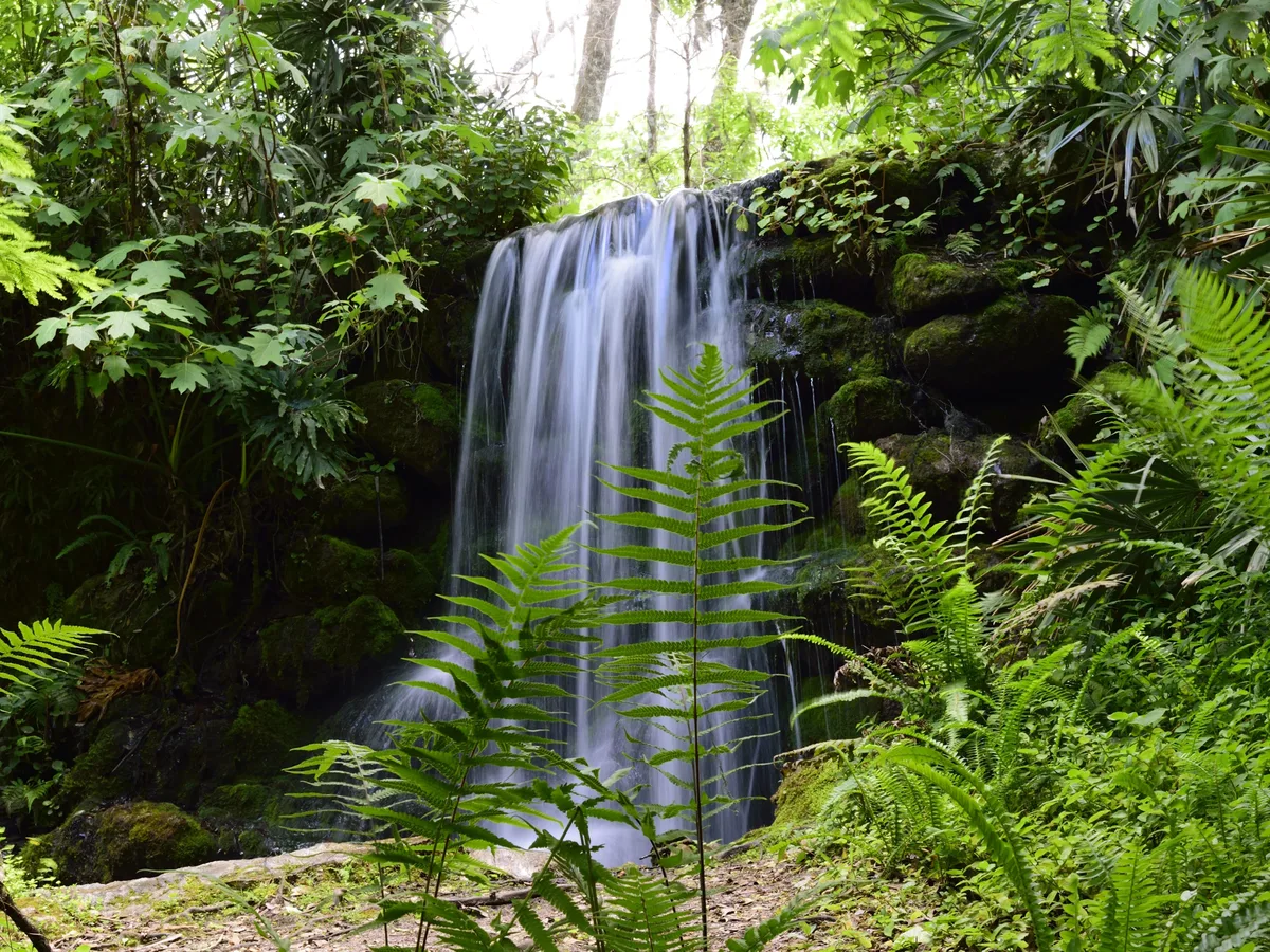 I've lived in Florida for over 25 years. Skip the major cities and spend time in these 5 gorgeous state parks instead.