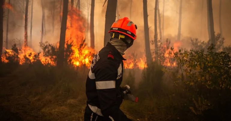 França: apoio de 100 milhões para zonas afetadas pelo fogo