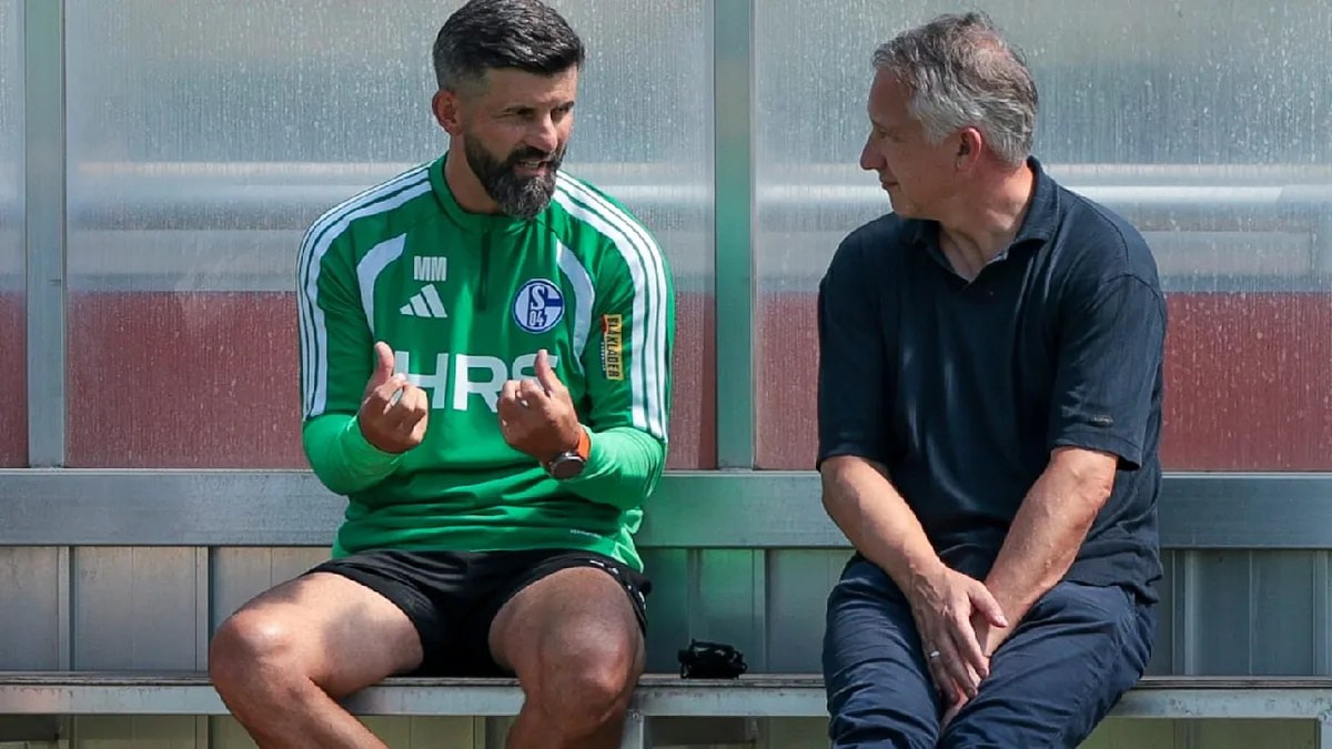 Kohle, Zugänge, Abgänge - Das ist jetzt Schalkes Transfer-Plan