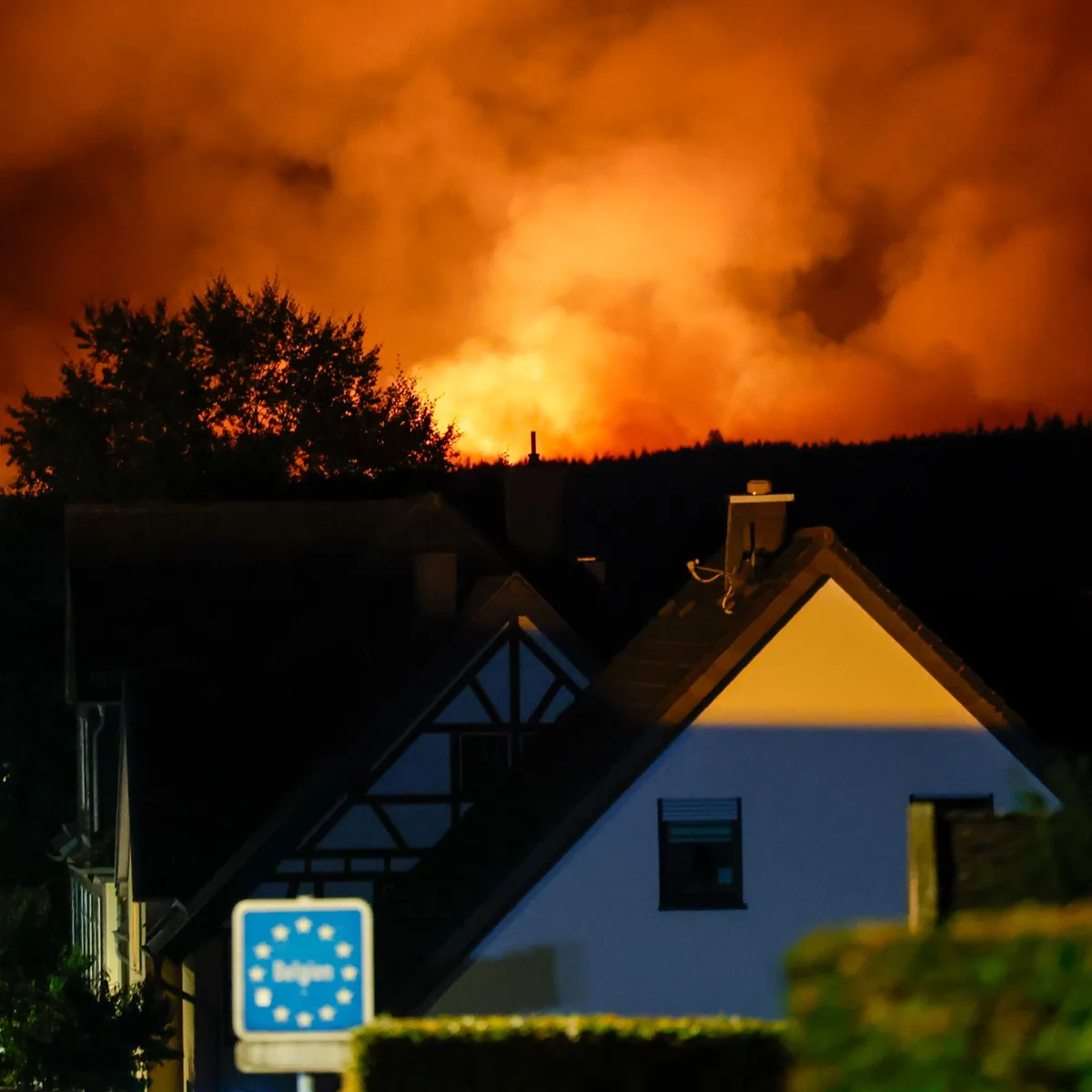 Hitze und Dürre - Leichte Entspannung bei Waldbrand im Hohen Venn