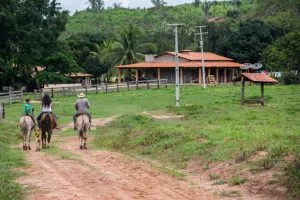 Alienação fiduciária e impenhorabilidade da pequena propriedade rural