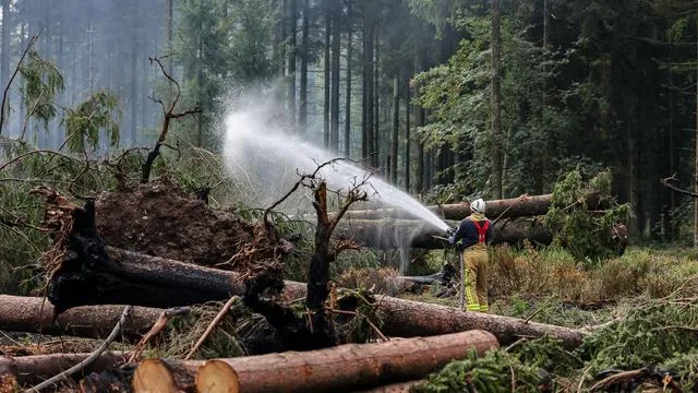 Brand im Hohen Venn: Feuer im Hohen Venn gilt vorerst als gebändigt