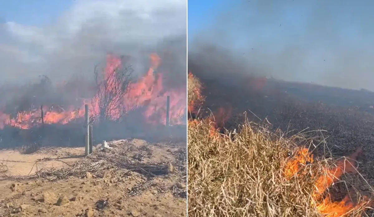 Incêndio que destruiu 40 hectares é controlado antes de atingir casas em Marataízes